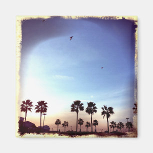Palm Trees Retro Filter Magnet