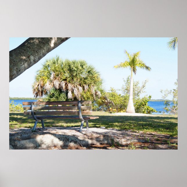 Palm trees roots Park bench Poster (Front)