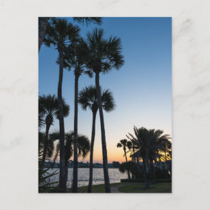 Palm Trees Sunrise Destin Florida Postcard
