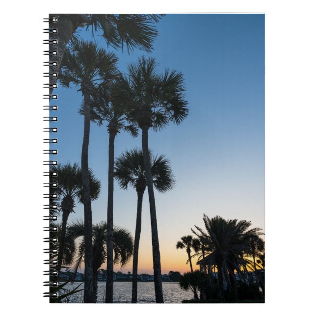 Palm Trees Sunrise Destin Floride Carnet (Devant)