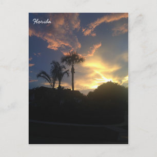 Palm Tree's Sunset Postcard