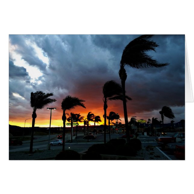 Palm Trees Swaying in the Breeze at Sunset (Front Horizontal)