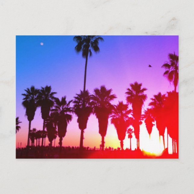 Palm Trees Venice Beach Postcard (Front)