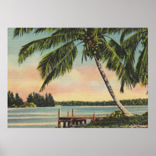 palm trees vintage poster