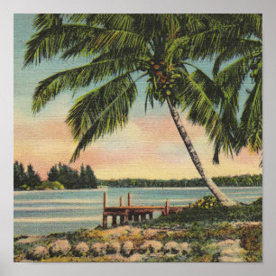 palm trees vintage poster