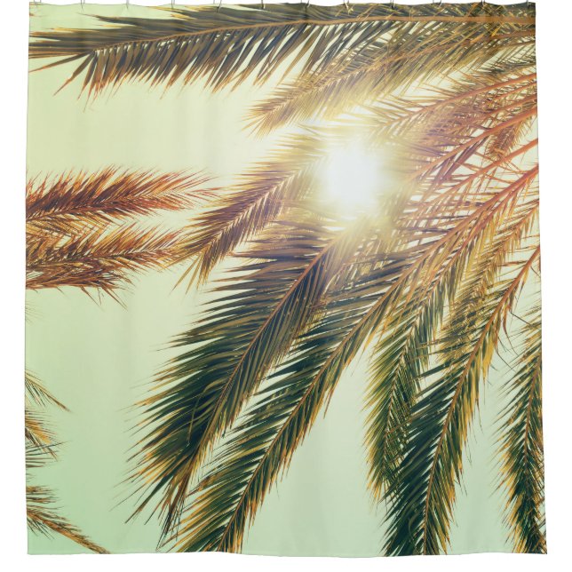 Palm Trees, Vintage Toned Sky. (Front)