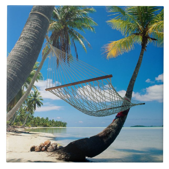 Palm Trees with Hammock, tropical scene, Tile (Front)