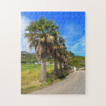 Palm Trees Zakynthos Greece