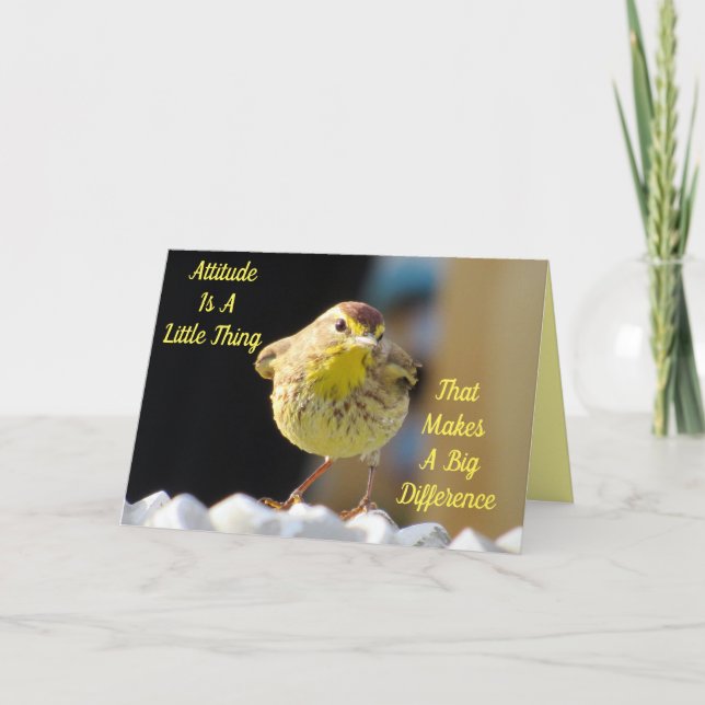 Palm Warbler Backyard Bird Personalized  Card (Front)