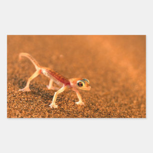 Palmatogecko On Sand Dune, Swakpomund, Erongo Sticker