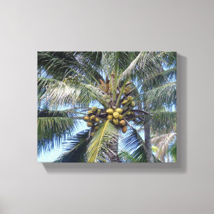 Palme de noix de coco Impression en toile 8x10"