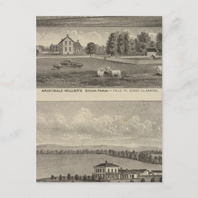 Palmer Ranch, Kansas Postcard (Front)