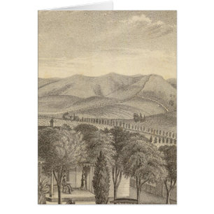 Palmer res, vignoble