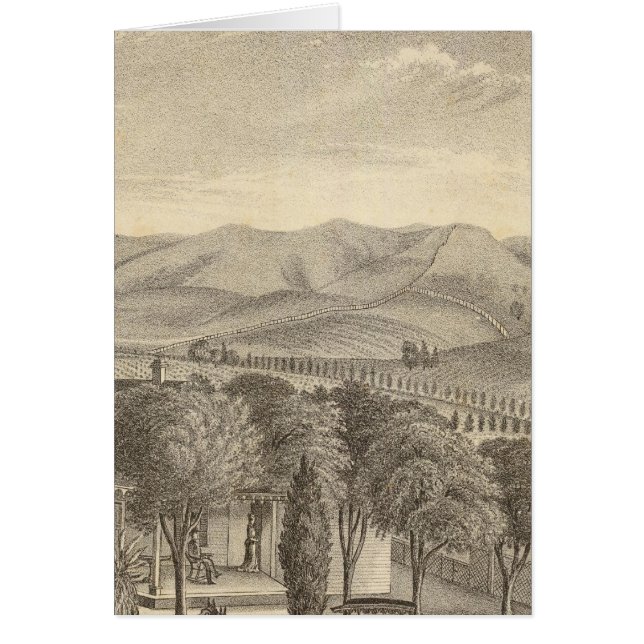 Palmer res, vignoble (Devant)