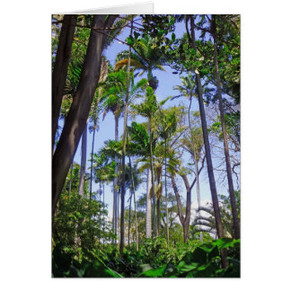 Palmes paradisiaques
