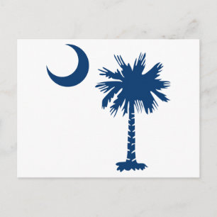 Palmetto Tree Postcard