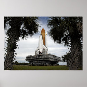 Palmetto trees frame space shuttle Endeavour Poster