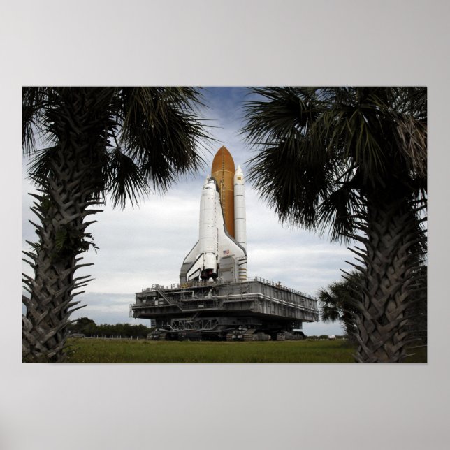 Palmetto trees frame space shuttle Endeavour Poster (Front)