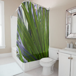 Palmetto Tropicale