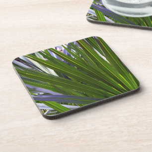 Palmetto Tropicale Coaster