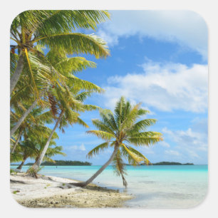 Palmier blanc sable de plage photo sticker