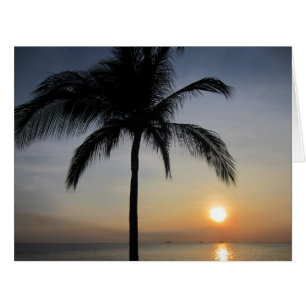 palmier couché de soleil grand