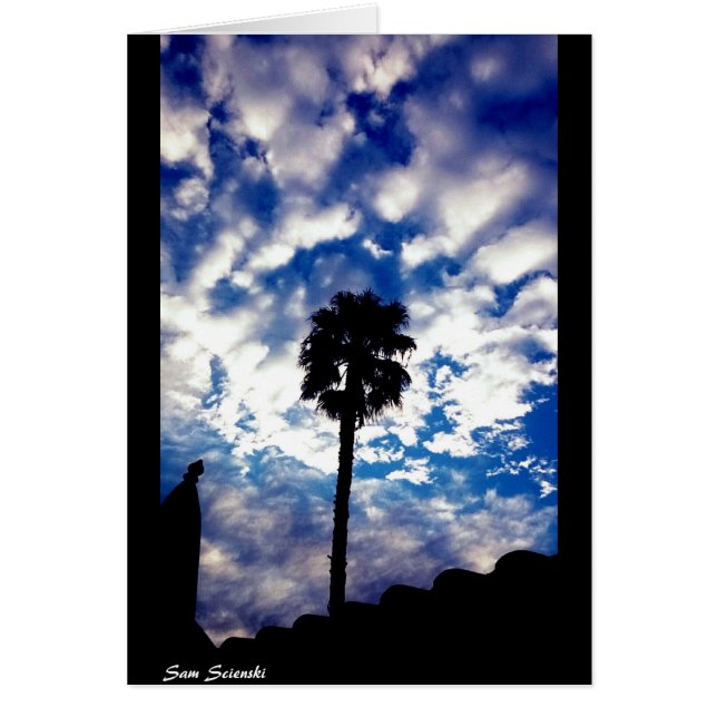 Palmier dans les nuages (Devant)