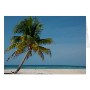 Palmier et plage de sable blanc 2