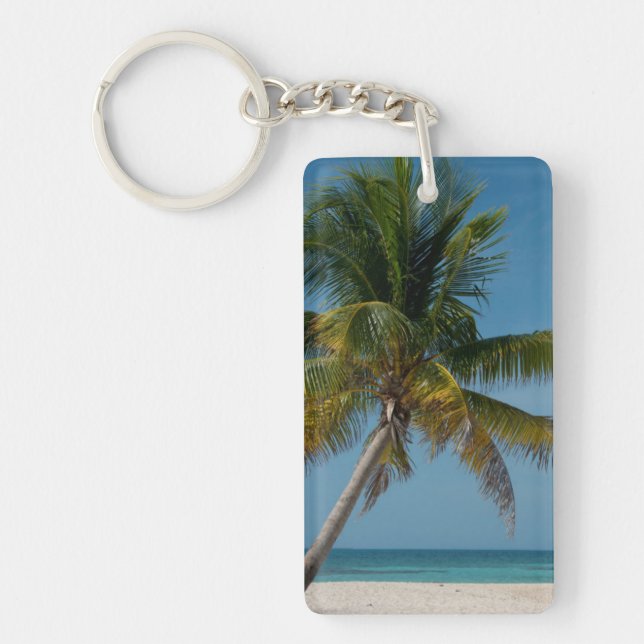 Palmier et plage de sable blanc  2 (Devant)