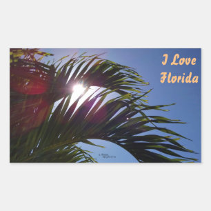 Palmier I Love Florida Stickers