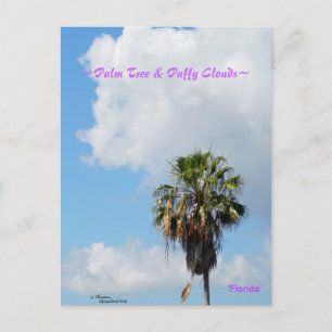Palmier Puffy nuages Florida Carte postale