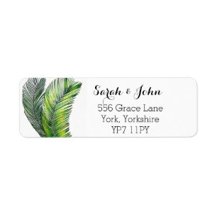 Palmier tropical sauvage Verdure Feuille