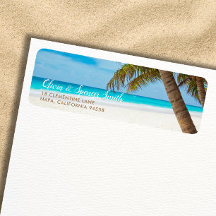 Palmier Tropical Summer Ocean Beach Destination