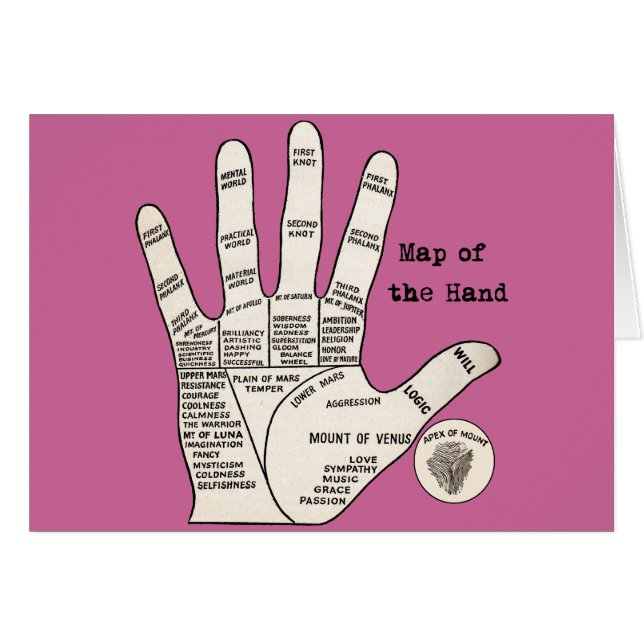 Palmier vintage lecture fortune misère (Devant horizontal)