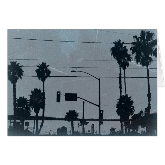 Palmiers de Los Angeles (Devant Horizontal)