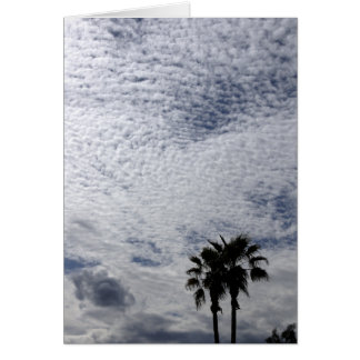 Palmiers et nuages