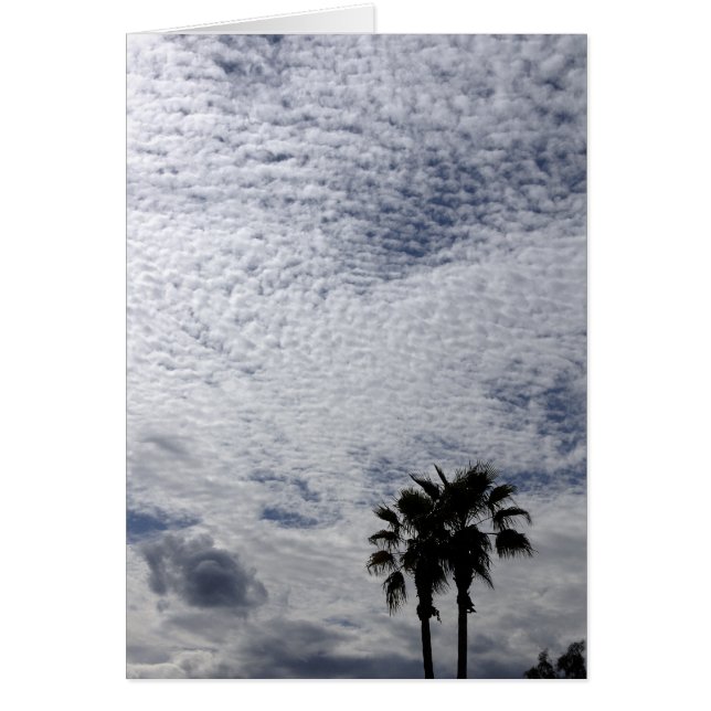 Palmiers et nuages (Devant)