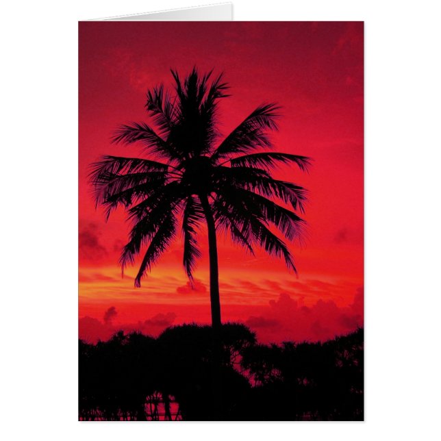 Palmiers exotiques du coucher de soleil de l'Hawaï (Devant)
