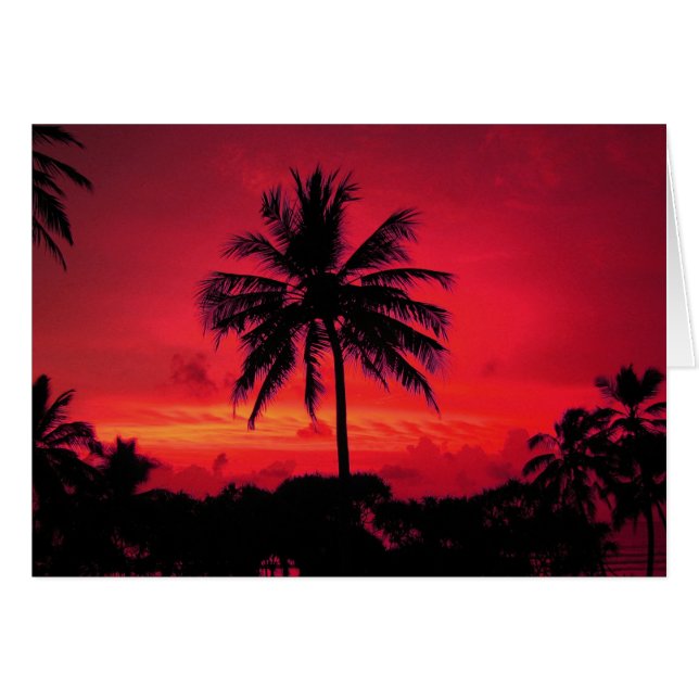 Palmiers exotiques du coucher de soleil de l'Hawaï (Devant horizontal)
