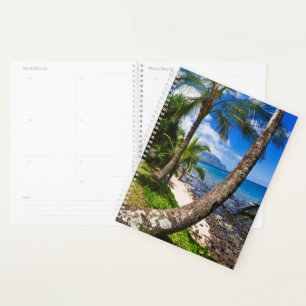 Palmiers le long de la plage de Hideaways