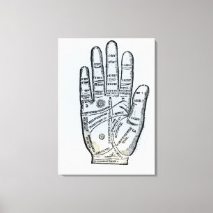 Palmistry Canvas Print