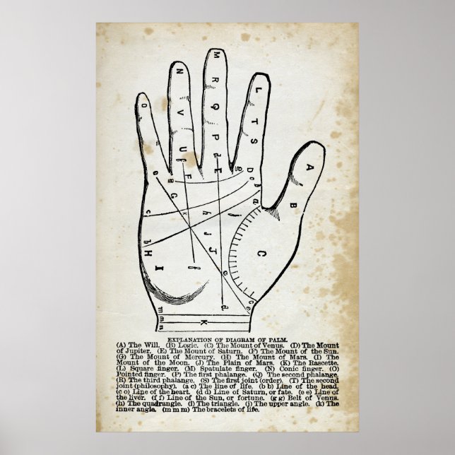 Palmistry or Hand Reading Poster (Front)