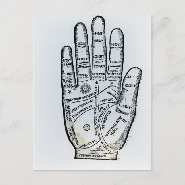 Palmistry Postcard (Front)