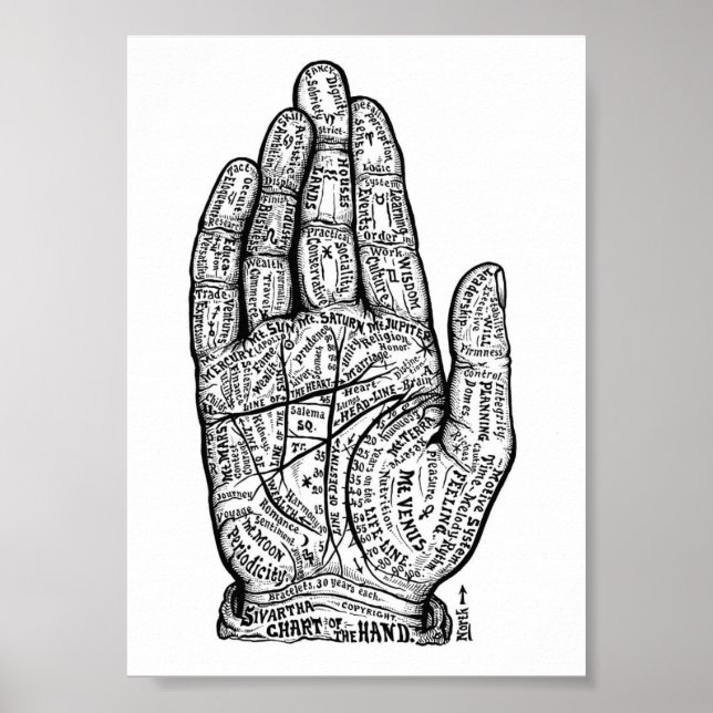 Palmistry Poster (Front)
