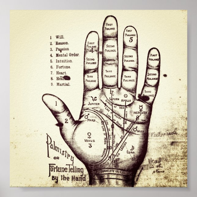 Palmistry Poster (Front)