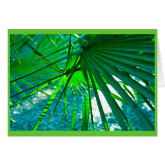 Palms de Floride