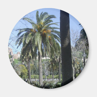 Palms in Malaga Magnet
