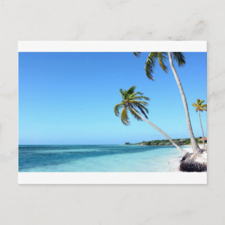 Palms in the sea postcard