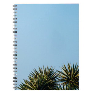 palms notebook