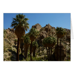 Palms perdus Oasis I au parc national de Joshua Tr